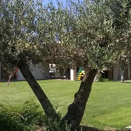 Mammarosa Bed & Breakfast